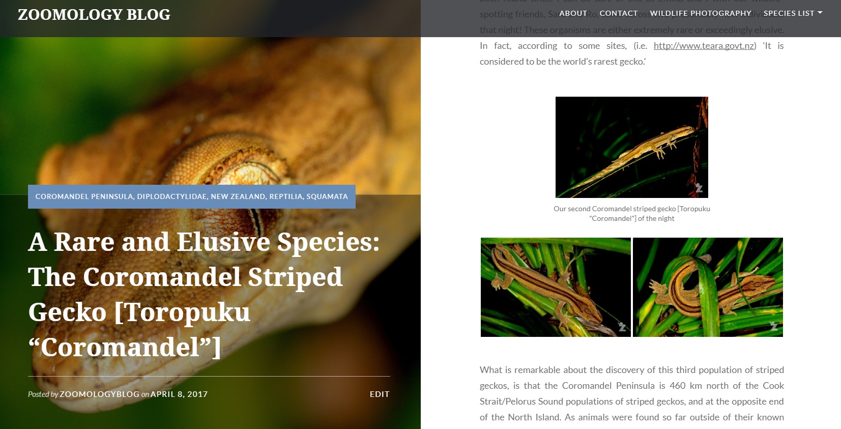 Zoomology Toropuku Coromandel