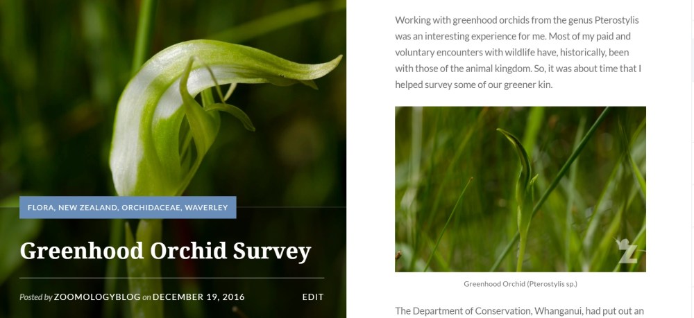 greenhood orchid survey