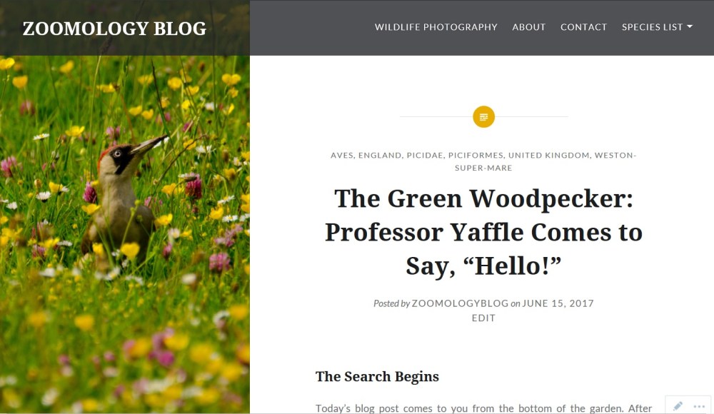 Professor Yaffle Zoomology