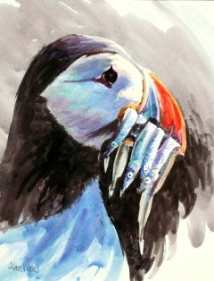 Alan Ward - Puffin with Sandeels
