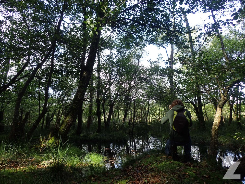 Tom in the wetland area