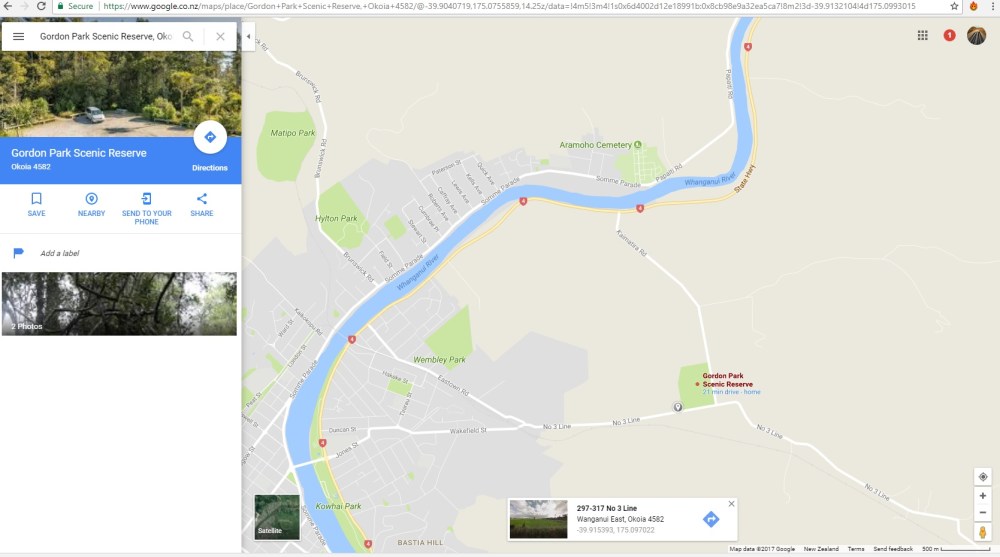 Lampropholis delicata [PLAGUE SKINK] Gordon Park Scenic Reserve, Whanganui, New Zealand 14-11-2017 (7)