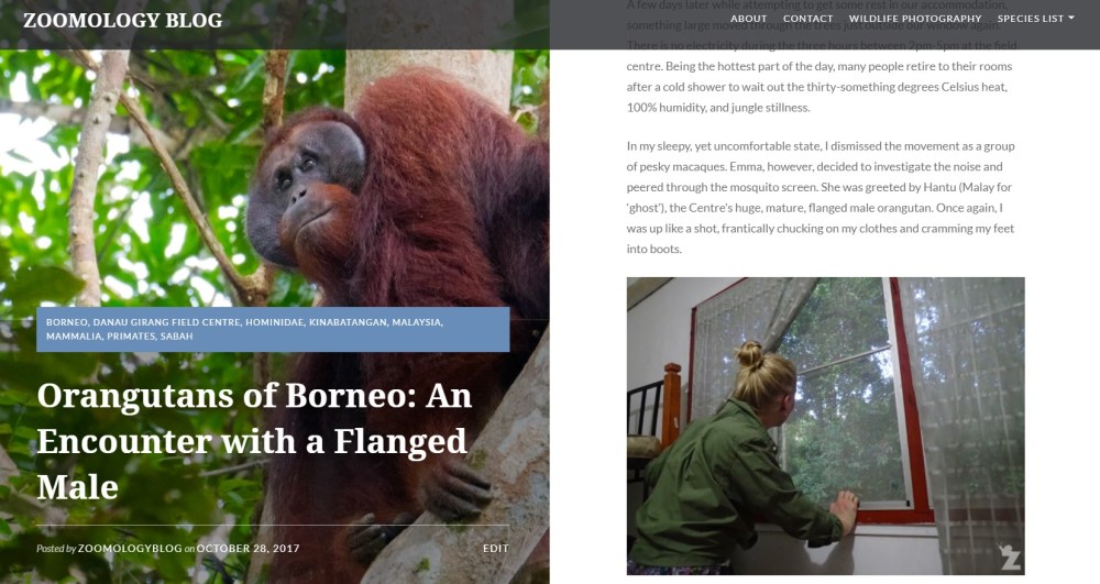 Zoomology Flanged Male.jpg