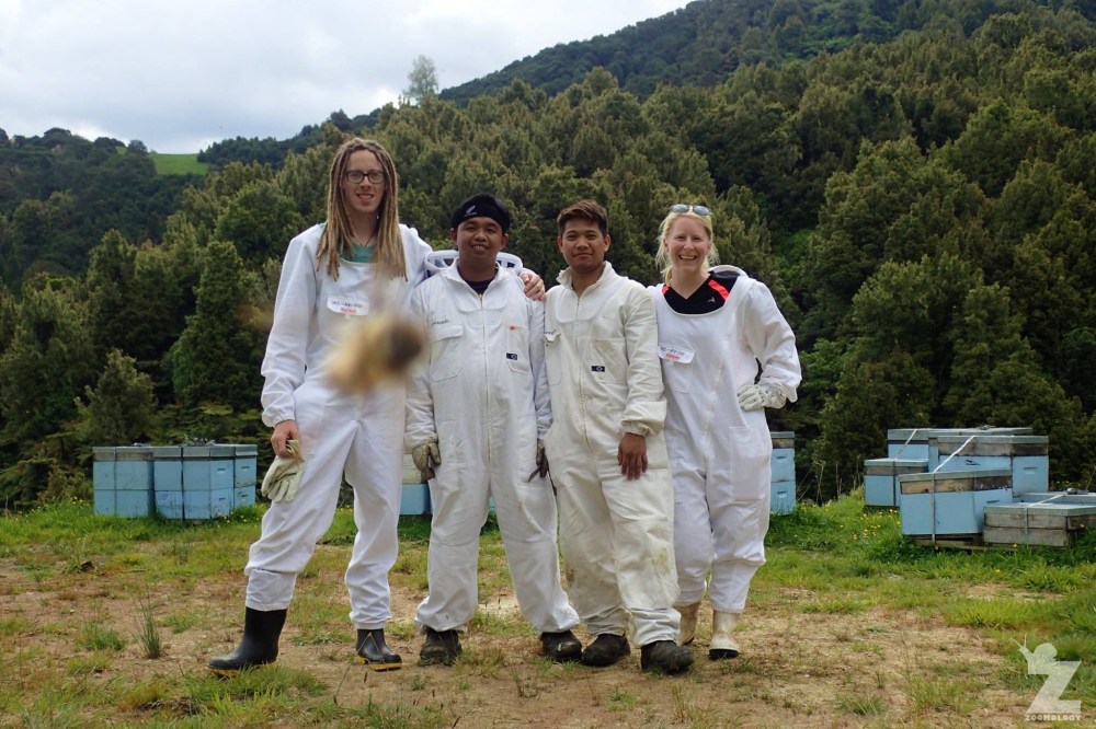 Forget the A-team, we're the Bee team.jpg