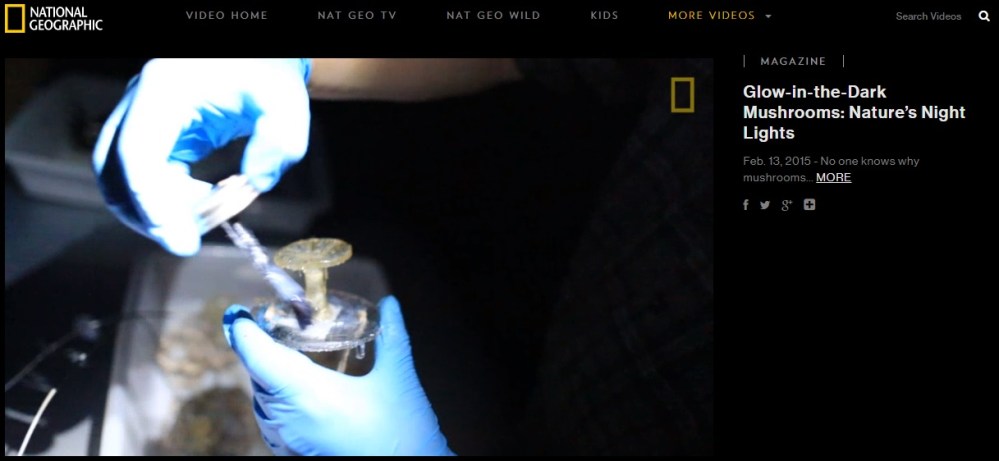 National Geographic Fungi