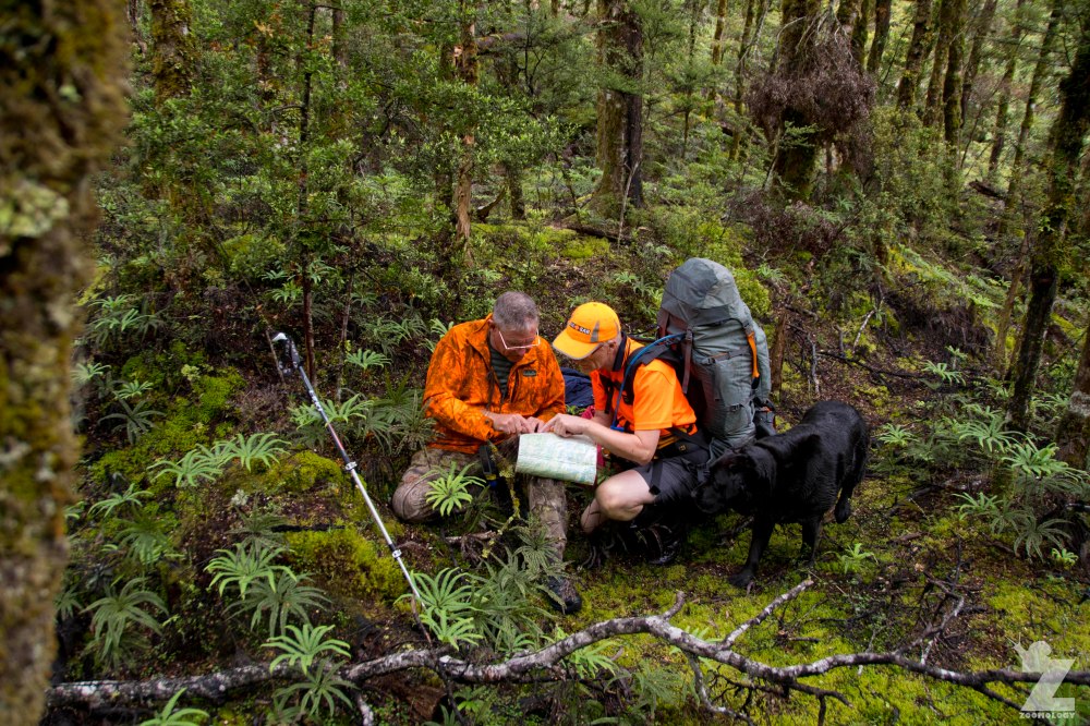 Consulting the Map, Kaweka Forest Park, New Zealand 20-01-2018