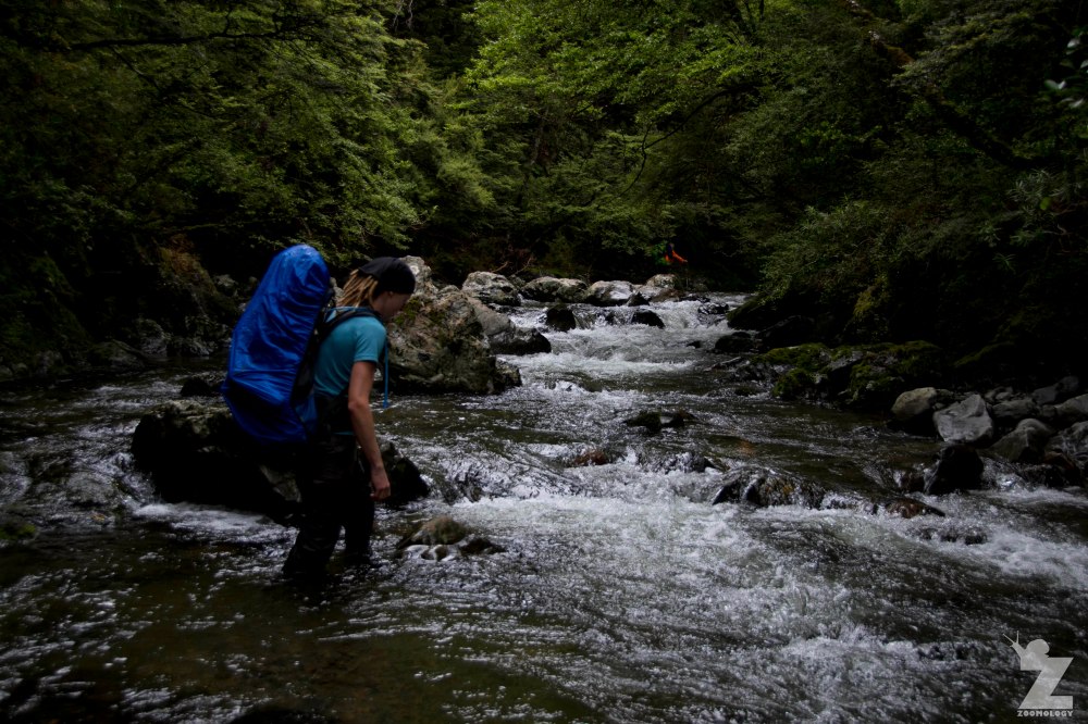 Forest Stream Crossings (3), Kaweka Forest Park, New Zealand 20-01-2018