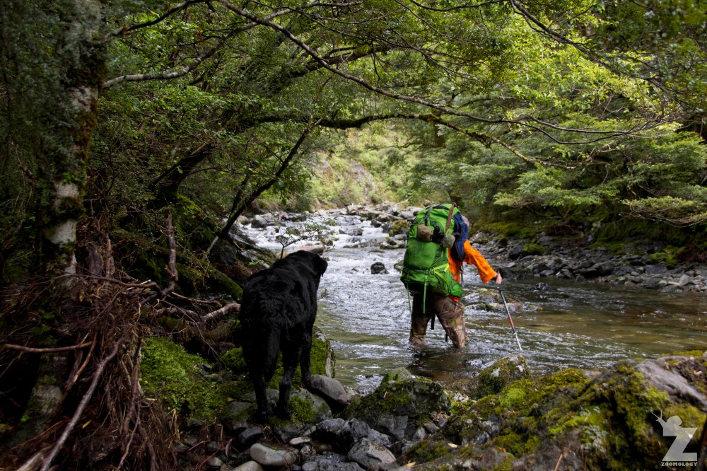 Forest Stream Crossings, Kaweka Forest Park, New Zealand 20-01-2018