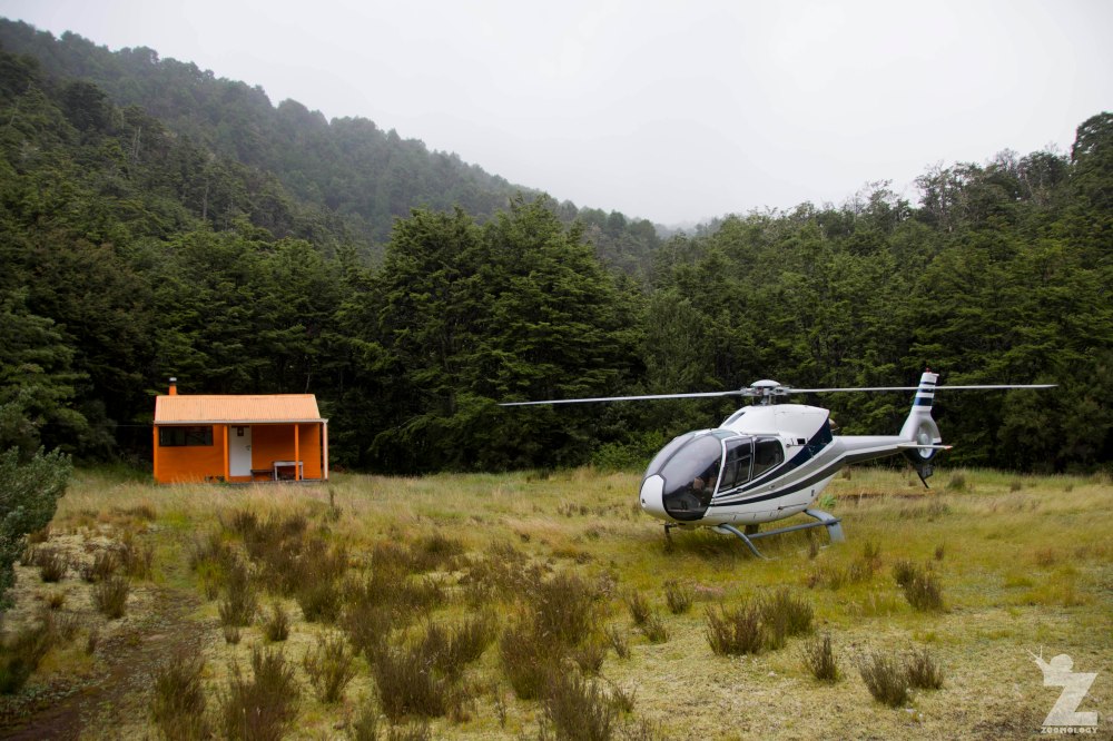 Harkness Hut and Helisika, Kaweka Forest Park, New Zealand 20-01-2018