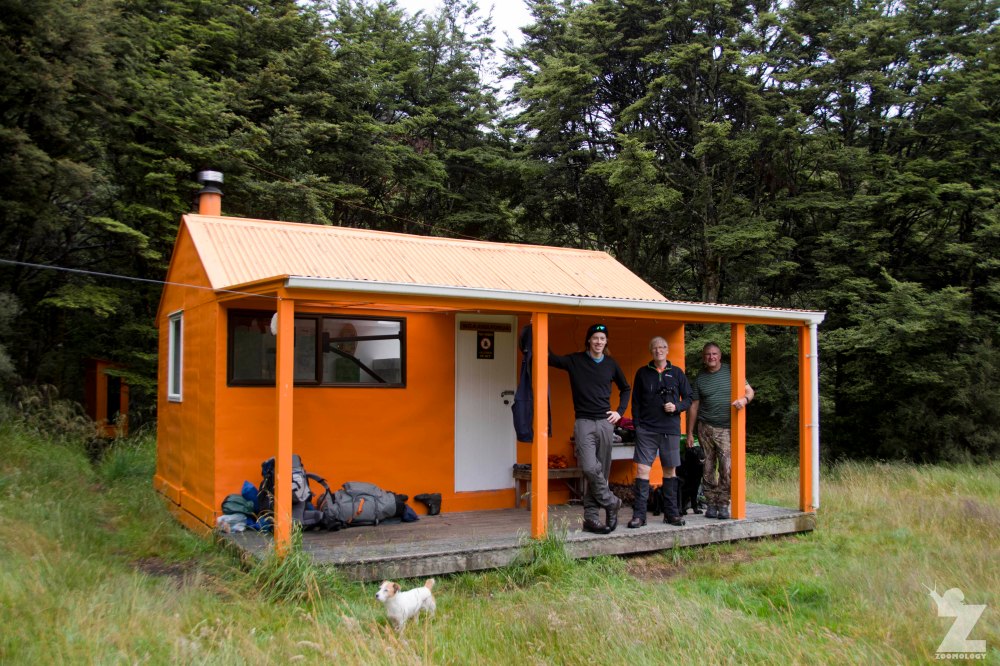 Ngaawapurua hut, Kaweka and Kaimanawa Forest Park, New Zealand 20-01-2018