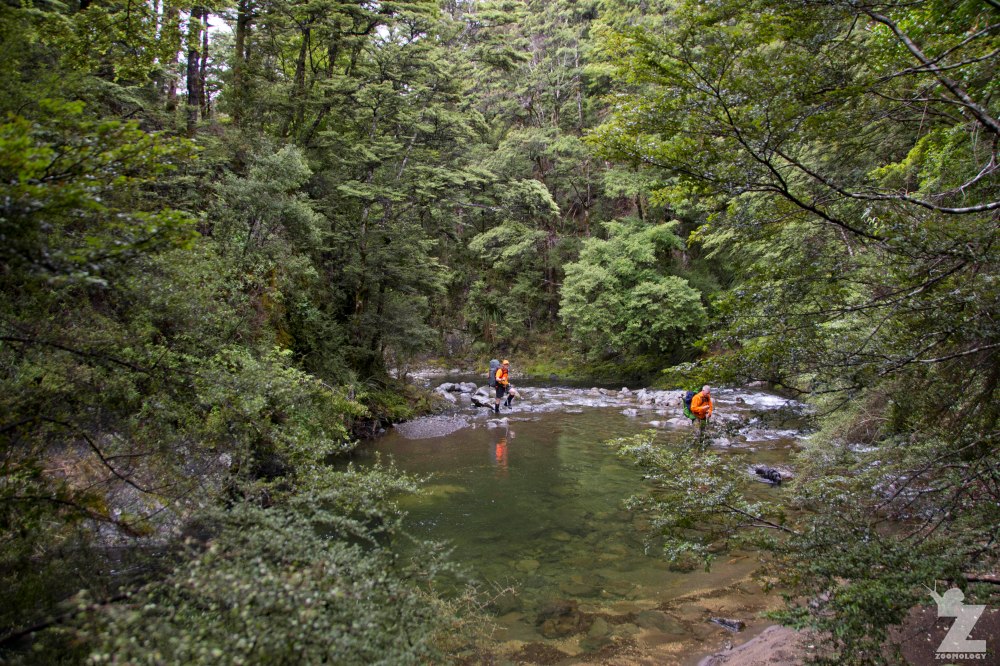 River Crossings, Kaweka and Kaimanawa Forest Park, New Zealand 20-01-2018