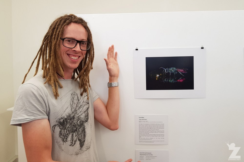 Tom 'Ruby-tailed Wasp' Zoomology