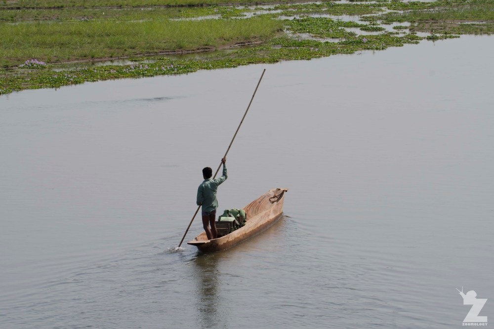 2018-04 Chitwan National Park, Nepal - Zoomology (64)